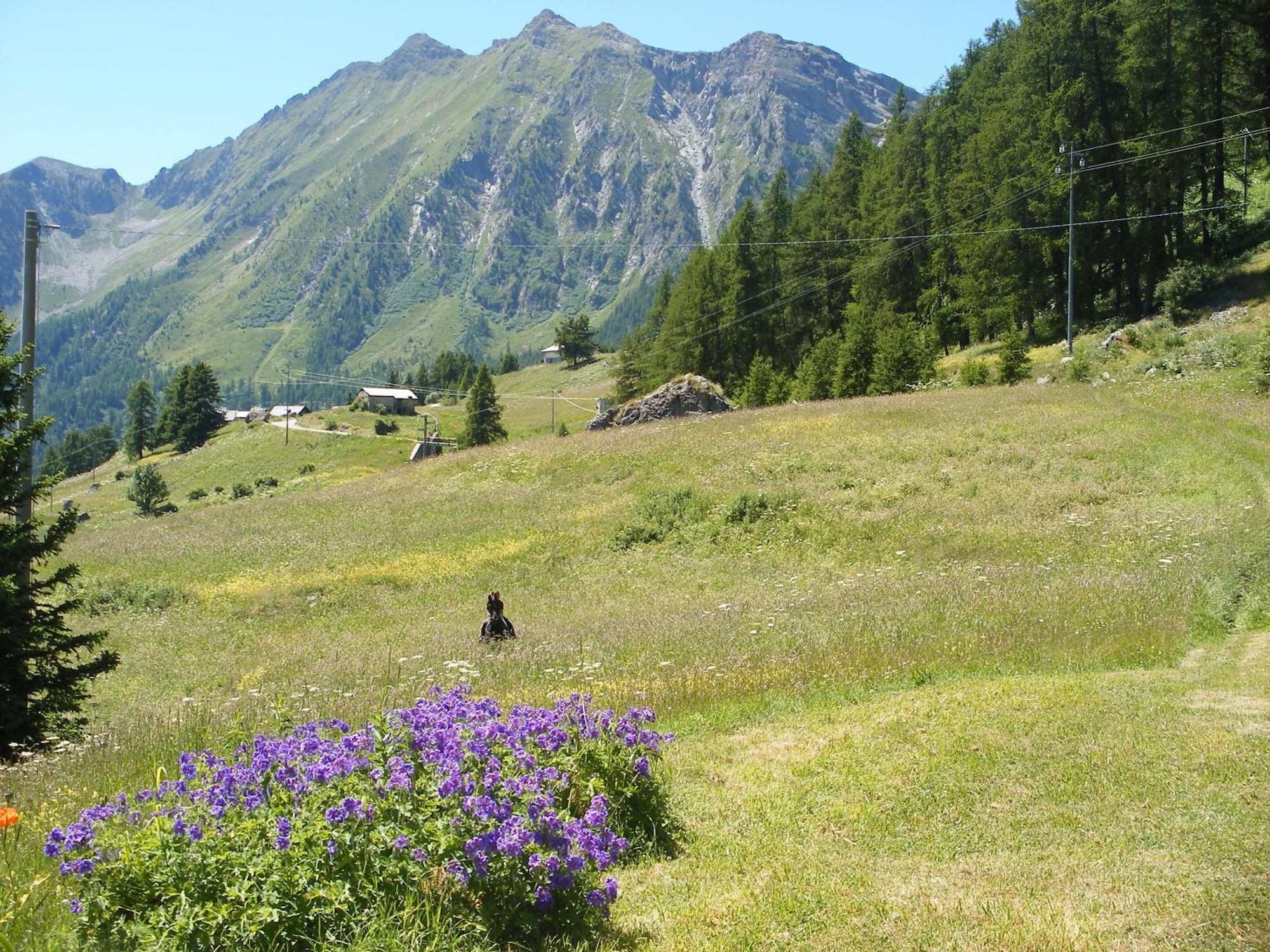 Hotel Santa San Champoluc Zewnętrze zdjęcie